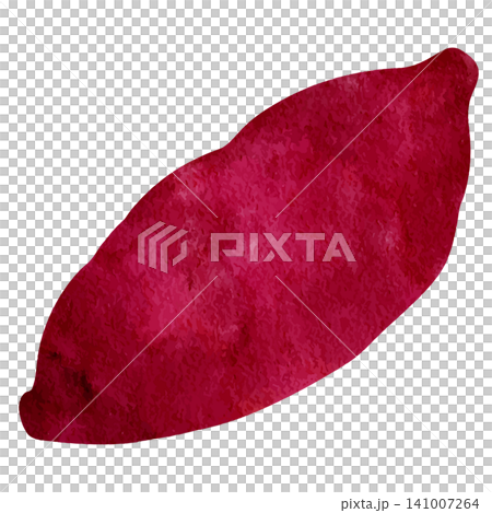 Watercolor-style illustration of a sweet potato Watercolor-style illustration of a sweet potato 141007264