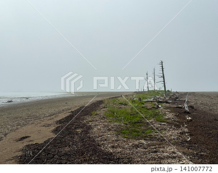 海に続く道 141007772