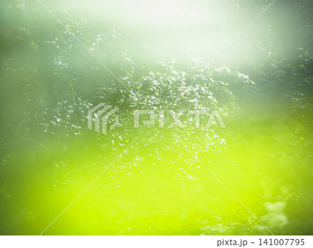 abstract nature background with a blurred bokeh effect. 141007795