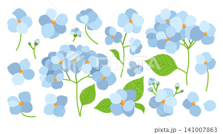 Cartoon set of illustrations of hydrangea flowers in blue shades in various positions. Different parts of the plant, bud, bud, inflorescence, stem, leaf, petal and bouquet. Vector flower elements. Cartoon set of illustrations of hydrangea flowers in blue shades in various positions. Different parts of the plant, bud, bud, inflorescence, stem, leaf, petal and bouquet. Vector flower elements. 141007863