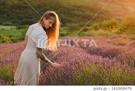 Woman Touching Blooming Flowers In Lavender Field at Sunset Woman Touching Blooming Flowers In Lavender Field at Sunset 141008479