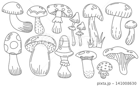 Vector mushroom nature and forest illustration design with autumn food background. Plant isolated fungi and vector organic colorful with art natural mushroom. Flat vector fantasy and fall forest Vector mushroom nature and forest illustration design with autumn food background. Plant isolated fungi and vector organic colorful with art natural mushroom. Flat vector fantasy and fall forest 141008630