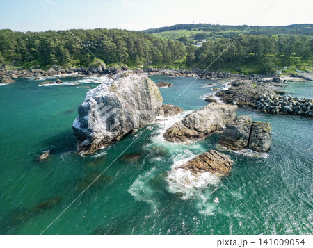 空撮「青森県」種差海岸の白岩・三陸復興国立公園 八戸市 空撮「青森県」種差海岸の白岩・三陸復興国立公園 八戸市 141009054
