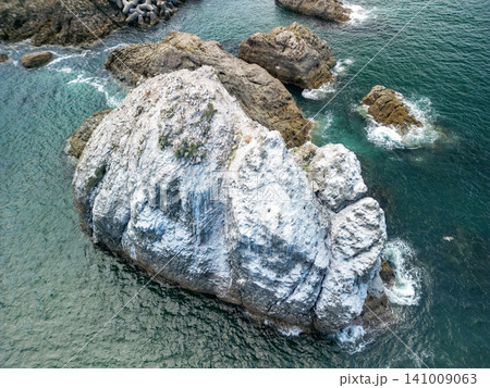 空撮「青森県」種差海岸の白岩・三陸復興国立公園 八戸市 空撮「青森県」種差海岸の白岩・三陸復興国立公園 八戸市 141009063