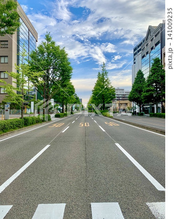 仙台の街並み、新緑が美しい並木道と青空の風景 141009235