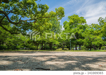 膳所城跡公園 滋賀県大津市 膳所城跡公園 滋賀県大津市 141009365