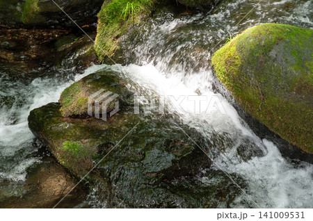 栃木県那須の苔むした岩と清流と木漏れ日 栃木県那須の苔むした岩と清流と木漏れ日 141009531