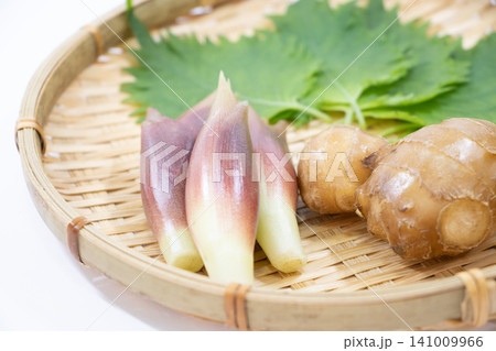 夏の薬味 夏の薬味 141009966