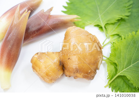 夏の薬味 夏の薬味 141010038