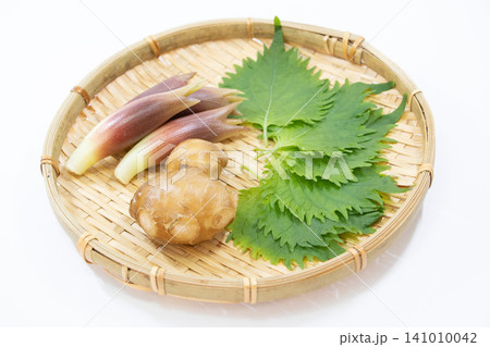 夏の薬味 夏の薬味 141010042