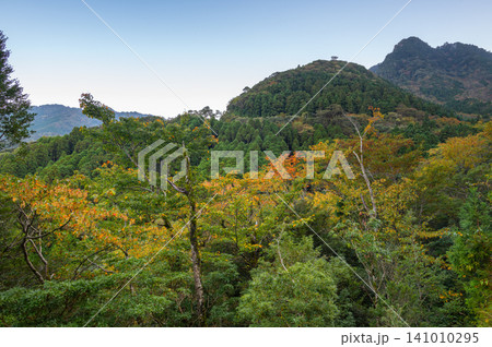 屋久島の秋 ゆっくりと静かに始まる紅葉 屋久島の秋 ゆっくりと静かに始まる紅葉 141010295