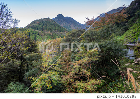 屋久島の秋 ゆっくりと静かに始まる紅葉 屋久島の秋 ゆっくりと静かに始まる紅葉 141010298