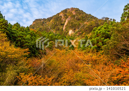 屋久島の秋 朝日に映える紅葉の絶景 屋久島の秋 朝日に映える紅葉の絶景 141010521