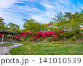 千秋公園 (4月　晴れ) 141010539