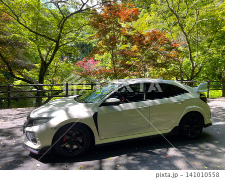 紅葉とホンダシビックタイプR 紅葉とホンダシビックタイプR 141010558
