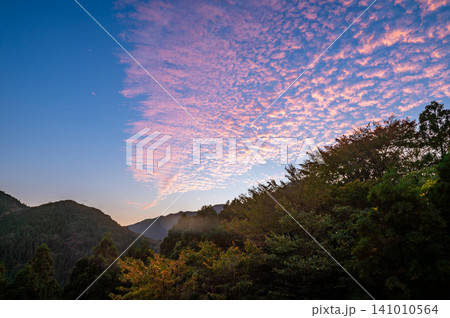 屋久島の秋 神が宿る見事な朝焼け 屋久島の秋 神が宿る見事な朝焼け 141010564