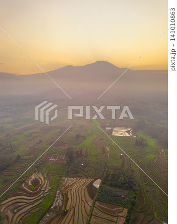 Beautiful panoramic aerial view of terraced rice fields at sunrise in Indonesia, surrounded by lush tropical greenery and palm trees. 141010863