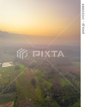Beautiful panoramic aerial view of terraced rice fields at sunrise in Indonesia, surrounded by lush tropical greenery and palm trees. Beautiful panoramic aerial view of terraced rice fields at sunrise in Indonesia, surrounded by lush tropical greenery and palm trees. 141010864