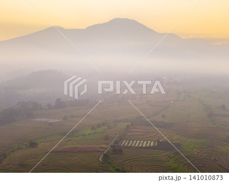 Beautiful panoramic aerial view of terraced rice fields at sunrise in Indonesia, surrounded by lush tropical greenery and palm trees. Beautiful panoramic aerial view of terraced rice fields at sunrise in Indonesia, surrounded by lush tropical greenery and palm trees. 141010873