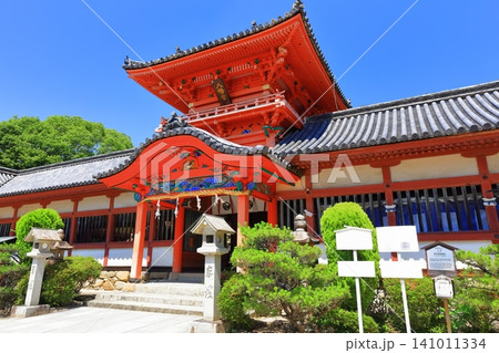 【愛媛県】豪華絢爛な伊佐爾波神社(日本三大八幡造り) 【愛媛県】豪華絢爛な伊佐爾波神社(日本三大八幡造り) 141011334