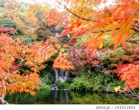 紅葉のある風景 紅葉のある風景 141011602