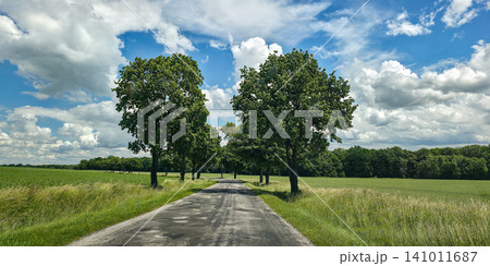 Scenic country road lined with green trees leading through vibrant summer fields under a cloudy sky. Concept of travel, future path, way forward, life journey, freedom, and summer road trip. Scenic country road lined with green trees leading through vibrant summer fields under a cloudy sky. Concept of travel, future path, way forward, life journey, freedom, and summer road trip. 141011687