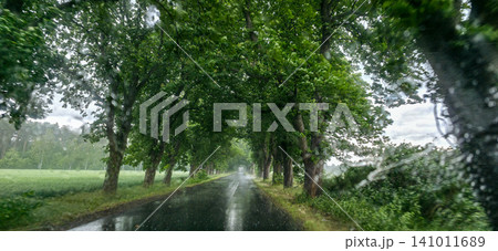 POV shot of driving on an asphalt road through a tree alley during a heavy rainstorm. Wet windshield with raindrops, blurred motion, and stormy mood. Concept of bad weather driving, car insurance POV shot of driving on an asphalt road through a tree alley during a heavy rainstorm. Wet windshield with raindrops, blurred motion, and stormy mood. Concept of bad weather driving, car insurance 141011689