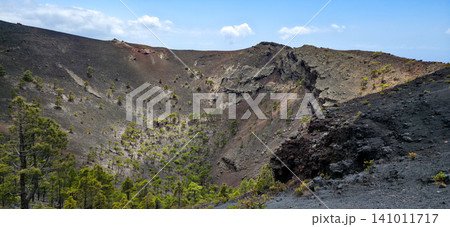 The crater of the San Antonio volcano on the Canary Island of La Palma with a growth of trees and small shrubs in it on black volcanic soil and solidified lava. High quality photo The crater of the San Antonio volcano on the Canary Island of La Palma with a growth of trees and small shrubs in it on black volcanic soil and solidified lava. High quality photo 141011717