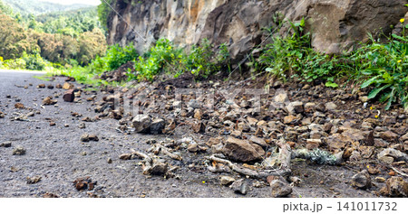 Rock and branch falls onto the roadway in mountainous areas. Danger of landslides on the roads. High quality photo Rock and branch falls onto the roadway in mountainous areas. Danger of landslides on the roads. High quality photo 141011732