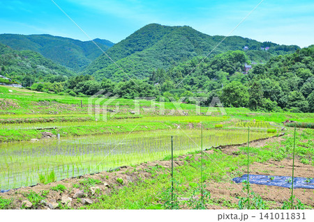 寺坂棚田 田植えの季節 新緑の風景 寺坂棚田 田植えの季節 新緑の風景 141011831