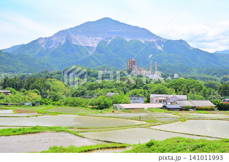 武甲山と寺坂棚田 田植えの季節 新緑の風景 武甲山と寺坂棚田 田植えの季節 新緑の風景 141011993