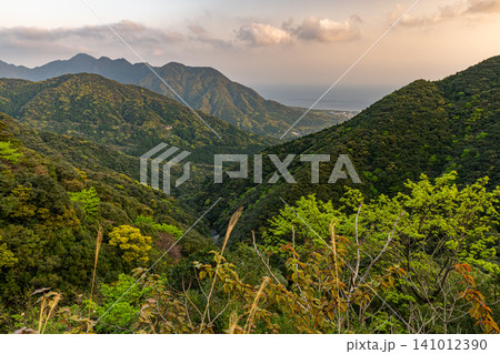 屋久島の春 新緑若葉が映える山肌 屋久島の春 新緑若葉が映える山肌 141012390