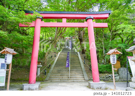 奈良県桜井市 新緑が美しい談山神社の入り口の鳥居と階段 奈良県桜井市 新緑が美しい談山神社の入り口の鳥居と階段 141012723
