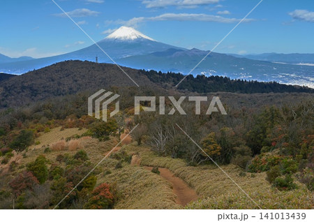 伊豆半島の伊豆山稜線歩道 小達磨山から望む真っ白な富士山と金冠山 伊豆半島の伊豆山稜線歩道 小達磨山から望む真っ白な富士山と金冠山 141013439