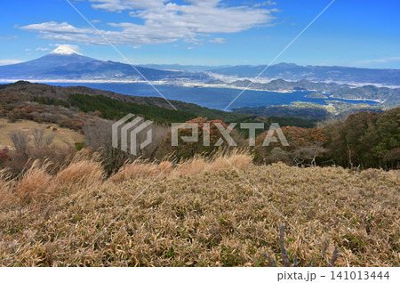 伊豆半島の伊豆山稜線歩道 金冠山山頂からの展望 富士山と愛鷹山 伊豆半島の伊豆山稜線歩道 金冠山山頂からの展望 富士山と愛鷹山 141013444
