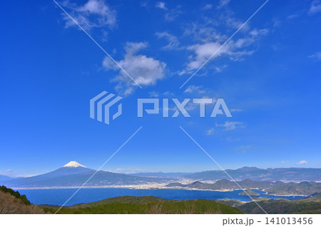 伊豆半島の伊豆山稜線歩道 だるま山高原レストハウスから望む雪の富士山 コピースペース 伊豆半島の伊豆山稜線歩道 だるま山高原レストハウスから望む雪の富士山 コピースペース 141013456