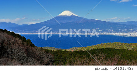 伊豆半島の伊豆山稜線歩道　だるま山高原レストハウスから望む富士山のパノラマ 141013458