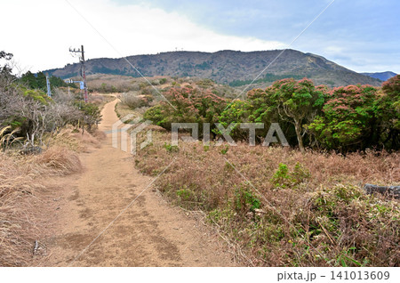 伊豆半島の伊豆山稜線歩道　金冠山から望む小達磨山 141013609