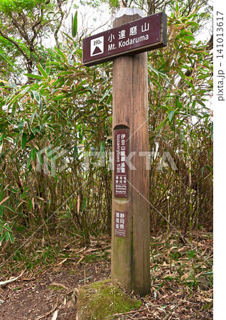 伊豆半島の伊豆山稜線歩道 森の中の小達磨山山頂 伊豆半島の伊豆山稜線歩道 森の中の小達磨山山頂 141013617
