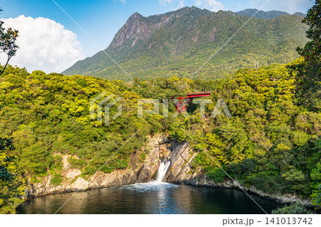 屋久島の春 トローキの滝と世界自然遺産モッチョム岳 屋久島の春 トローキの滝と世界自然遺産モッチョム岳 141013742