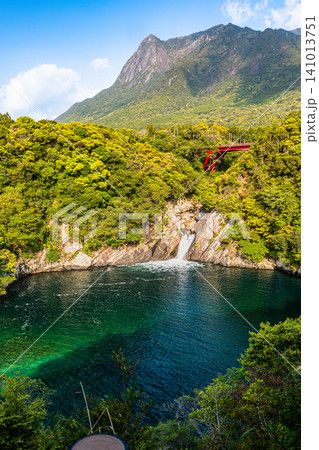 屋久島の春 トローキの滝と世界自然遺産モッチョム岳 屋久島の春 トローキの滝と世界自然遺産モッチョム岳 141013751