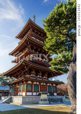 薬師寺 141013842