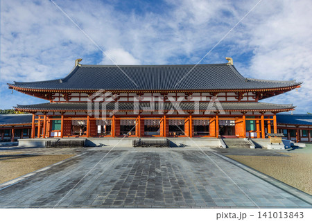 薬師寺 薬師寺 141013843