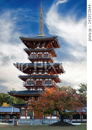 薬師寺 薬師寺 141013844