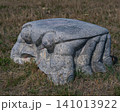 草原に置かれた古い石造りのカエルの彫刻 141013922