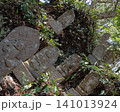 木の根元に散乱した古い石造りの仏教墓石 141013924