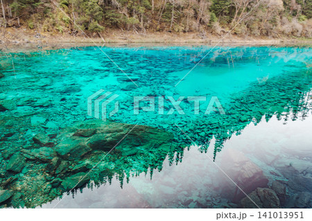 Scenery Jiuzhaigou national park in Sichuan, China. Beautiful Colorful Pond in Autumn season. Famous Landmark and Vacation near Chengdu, China. Asia travel concept Scenery Jiuzhaigou national park in Sichuan, China. Beautiful Colorful Pond in Autumn season. Famous Landmark and Vacation near Chengdu, China. Asia travel concept 141013951