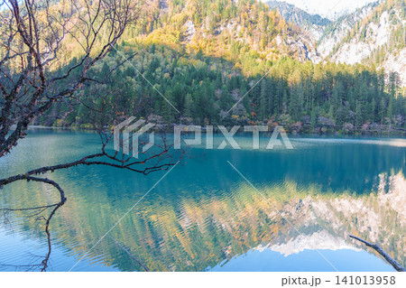 Scenery Jiuzhaigou national park in Sichuan, China. Beautiful of Arrow Bamboo Lake and snow mountain in Autumn season. Famous Landmark and Vacation near Chengdu, China. Asia travel concept 141013958