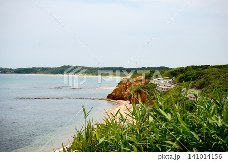 白波が打ち寄せる夏井ヶ浜海岸 白波が打ち寄せる夏井ヶ浜海岸 141014156