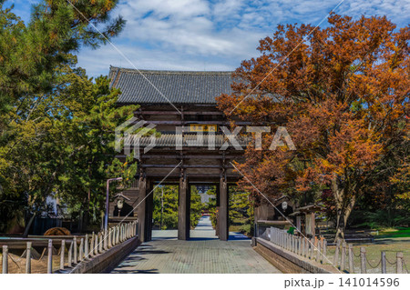 東大寺 141014596
